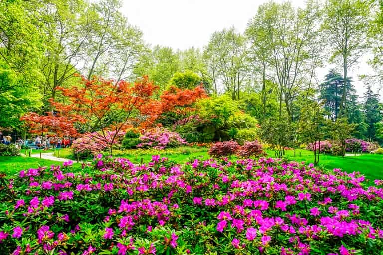 Top 9 Botanical Gardens in India