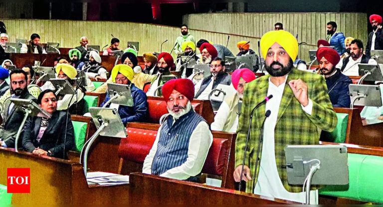 Don’t Want Confrontation With Governor’s Office, Says Mann | Chandigarh News - Times of India