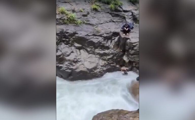 Man Dives Into Swollen Waterfall In Pune, Swept Away By Gushing Water