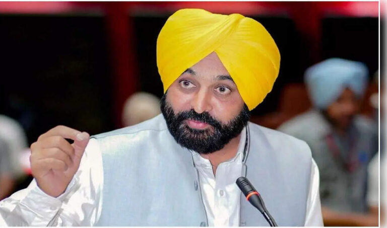 Environmental Groups Urge Punjab Cm Bhagwant Mann to Address Groundwater Crisis and Buddha Dariya Pollution