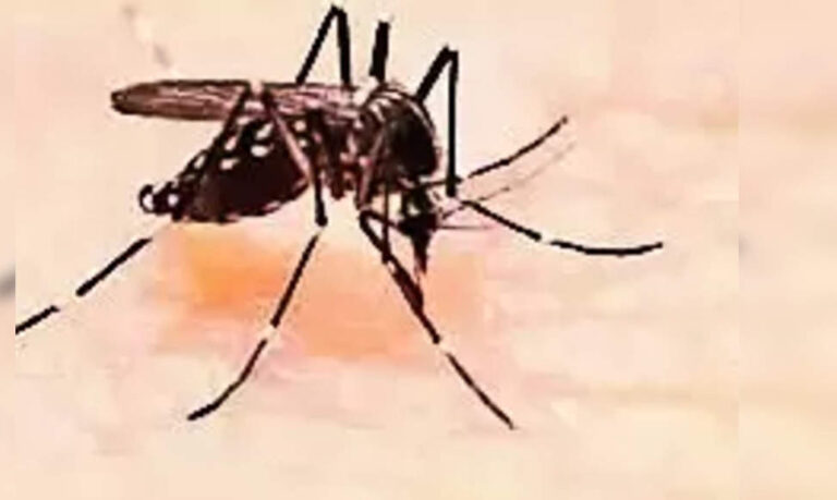 Dengue Cases Surge to 285 in Panchkula: Urgent Health Measures Underway