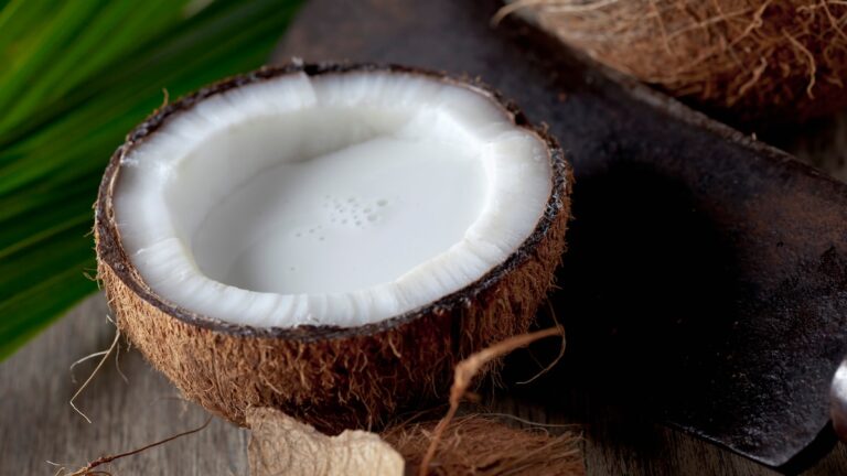 World Coconut Day 2024: How Coconut Is Celebrated In Indian Cuisine?