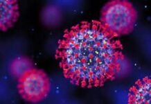 Active COVID-19 Cases in India Cross 7000 Mark 74 Deaths Reported; Over 350 New Cases Daily Active COVID-19 Cases in India Cross 7000 Mark 74 Deaths Reported; Over 350 New Cases Daily