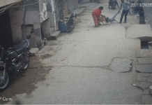 Pitbull Terror Returns in Delhi: Dog Attacks a 6-Year-Old Playing Boy, Bites Off His Ear Pitbull Terror Returns in Delhi: Dog Attacks a 6-Year-Old Playing Boy Bites Off His Ear